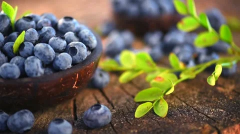 Blueberry. Fresh and ripe organic blueberries rotating Video stock 59081355