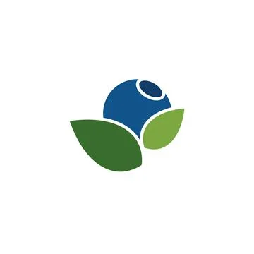Blueberry Fruit logo designs vector, Illustration of Blueberry template Stock Illustration