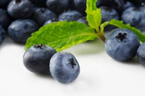 Blueberry fruit Stock Photos