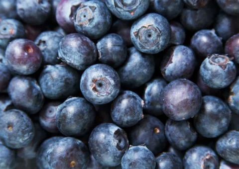 Blueberry Fruit Stock Photos