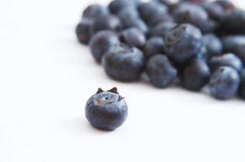 Blueberry Fruit Foto stock