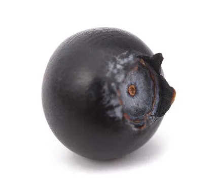 Blueberry  fruit Stock Photos