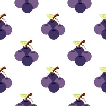 Blueberry fruit seamless pattern Stock Illustration