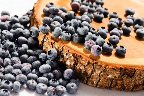 Blueberry fruit on the  stump Stock Photos