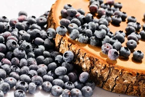 Blueberry fruit on the  stump Stock Photos