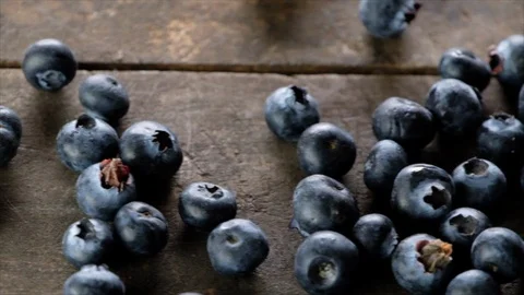 Blueberry Fruits Stock-Footage 90216892