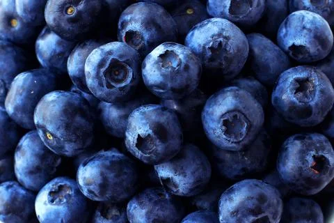 Blueberry full frame background Stock Photos