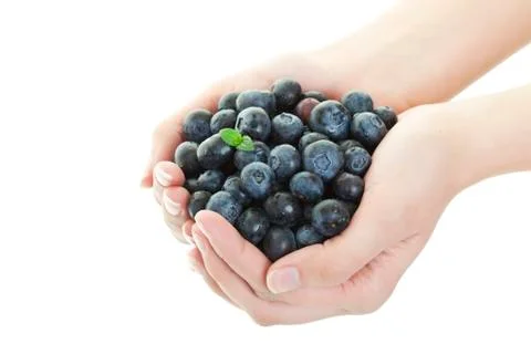 Blueberry goodness Stock Photos