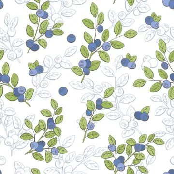 Blueberry graphic color seamless pattern sketch illustration vector Stock Illustration