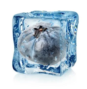 Blueberry in ice cube Stock Photos