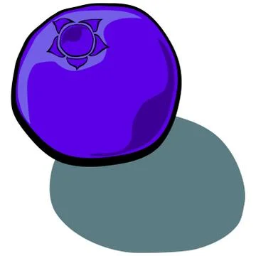 Blueberry Illustrazione stock