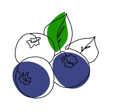 Blueberry Stock Illustration