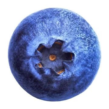 Blueberry isolated on white background Stock Photos