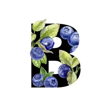 Blueberry Letter B is a creative artwork featuring a blueberrythemed alphabet Stock Illustration