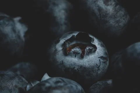Blueberry macro close up Stock Photos