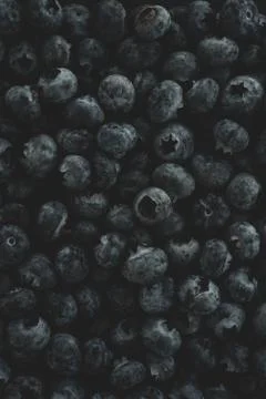 Blueberry macro close up Stock Photos