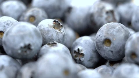 Blueberry macro slow-motion Stockbeeldmateriaal 95260766