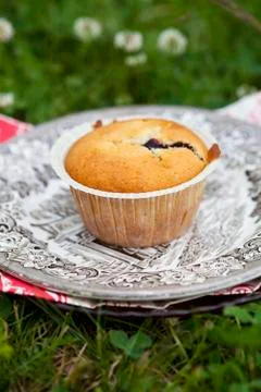 Blueberry muffin Foto stock