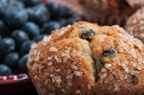 Blueberry muffin Foto stock