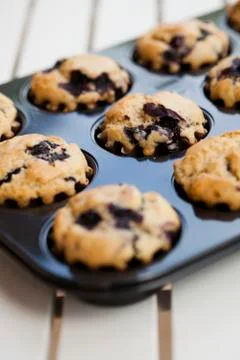 Blueberry muffins Foto stock