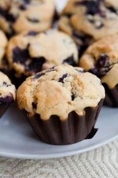 Blueberry muffins Foto stock