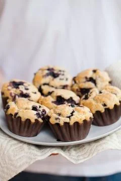 Blueberry muffins Stock Photos