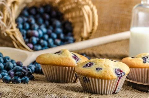 Blueberry muffins Foto stock