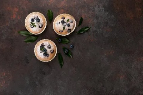 Blueberry muffins Stock Photos