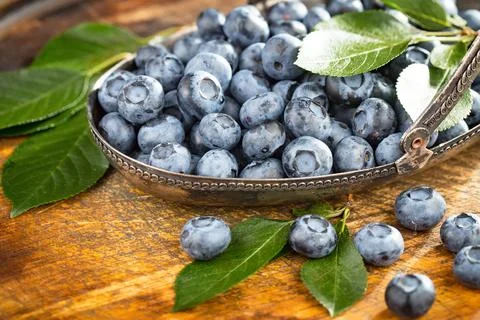 Blueberry on old background Stock Photos