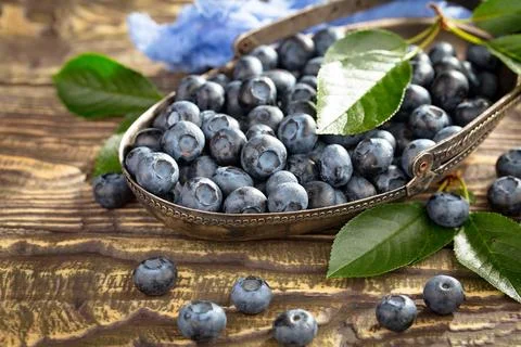 Blueberry on old background Stock Photos