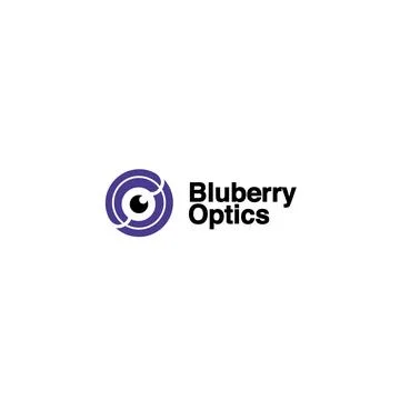 Blueberry optical logo Stock Illustration