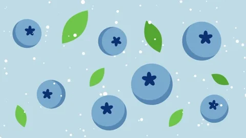 Blueberry Pattern Stock Footage 334367329