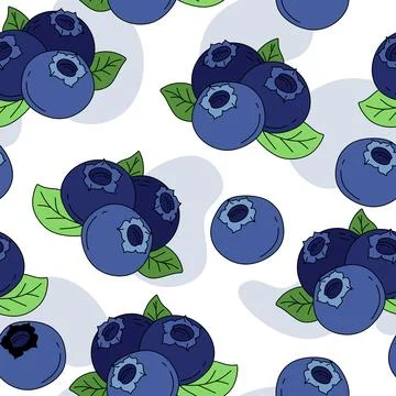 Blueberry Pattern seamless on white background Vector Stock Illustration