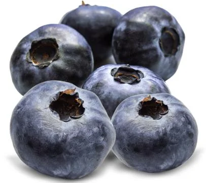 Blueberry Foto stock