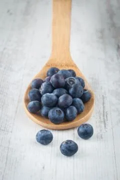 Blueberry Stock Photos
