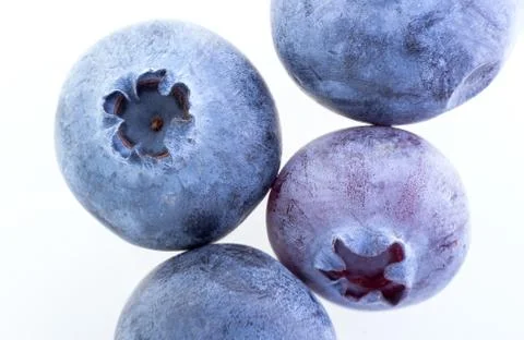 Blueberry. Stock Photos