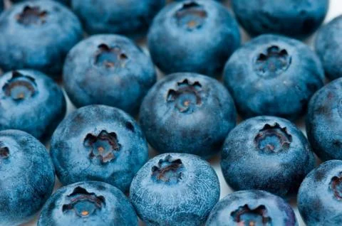 Blueberry Stock Photos