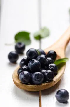 Blueberry Stock-Fotos