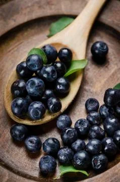 Blueberry Foto stock