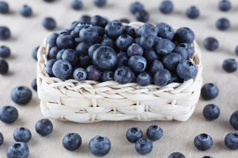 Blueberry Stock Photos