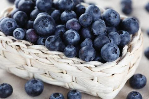 Blueberry Stock Photos