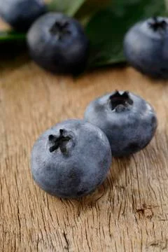 Blueberry Stock Photos