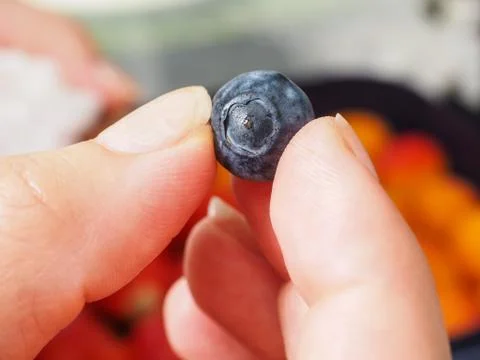 Blueberry Stock Photos