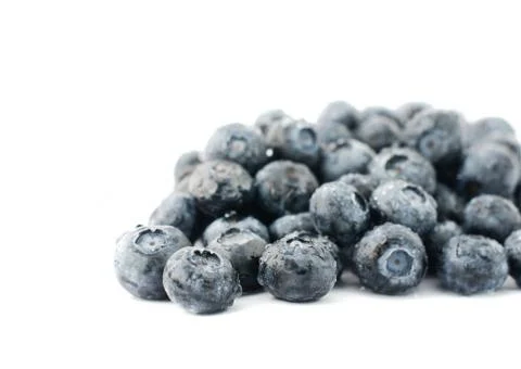 Blueberry Фото