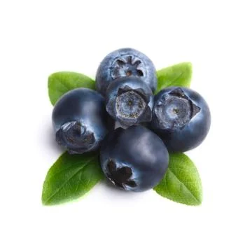 Blueberry Stock Photos