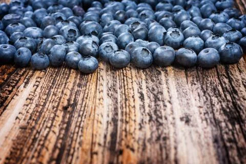 Blueberry Stock Photos