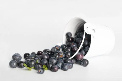 BLUEBERRY Foto stock