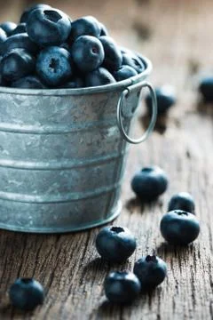 Blueberry Stock Photos