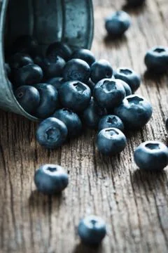 Blueberry Stock Photos