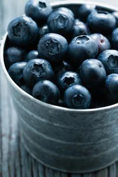Blueberry Stock Photos